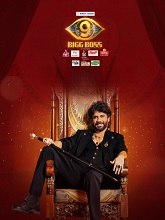 Bigg Boss (2025) HDTV Telugu Season 9 Watch Online Free
